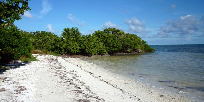 The blue water in Anne’s Beach is surrounded by green bushes and an empty beach area