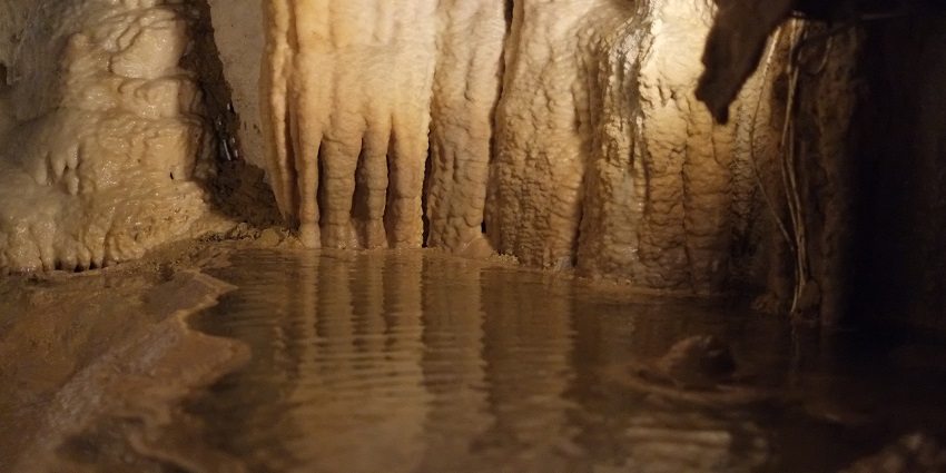 Another famous cave with a small water pool near Waitomo Glowworm Caves.