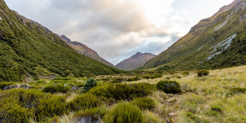 A place to visit in New Zealand in September great for birdwatching