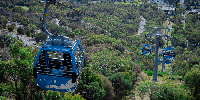 Take in the scenic gondola ride and enjoy the panorama from the Arthurs Seat Eagle
