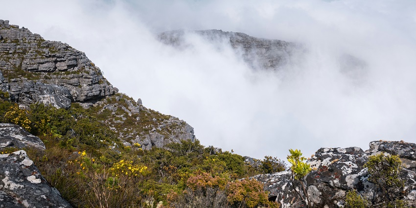 Visit Ascend Table Mountain for pretty city views, one of the things to do in Cape Town.
