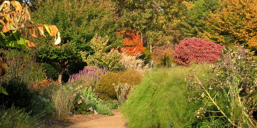 Stroll through lush gardens, flower displays, and serene landscapes of Atlanta Garden.
