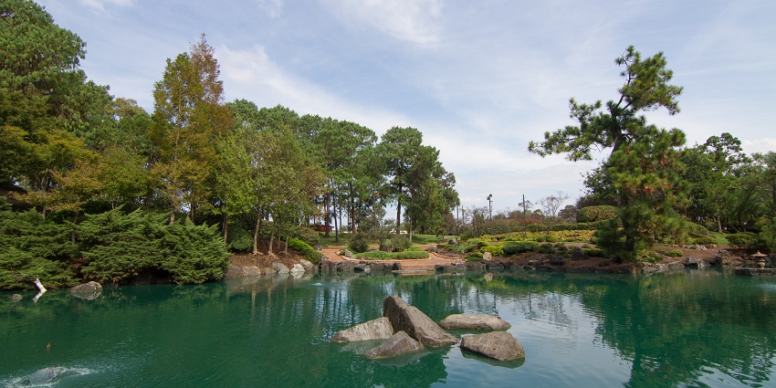 Relax at a beautiful lake in Auburn, a peaceful thing to do in Sydney, Australia