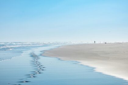 Discover the diversity of Auckland beaches, from black sands to lush coastal trails.