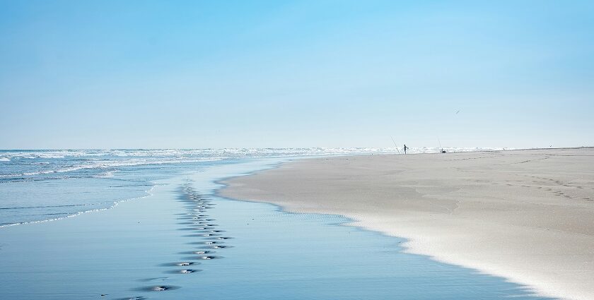 Discover the diversity of Auckland beaches, from black sands to lush coastal trails.