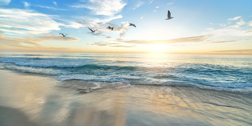 Calm waves washing ashore on a sandy beach with a clear blue sky in the background.