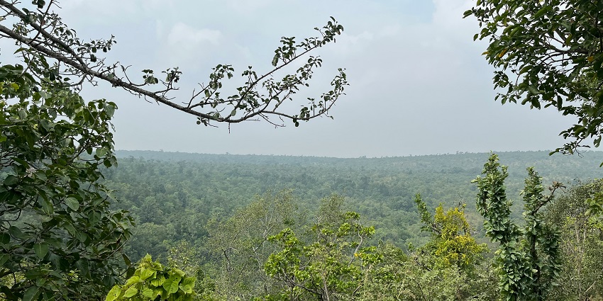 Explore Bangopalpur Reserve Forest as one of the things to do in Mukutmanipur.