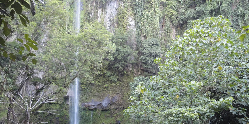 The lush green surroundings of Bawa Falls, a magnificent waterfall in South Africa.
