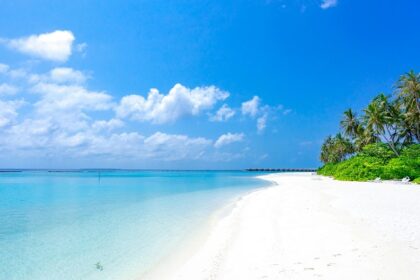 The pristine beaches in Georgia offer Black Sea views and serene landscapes.