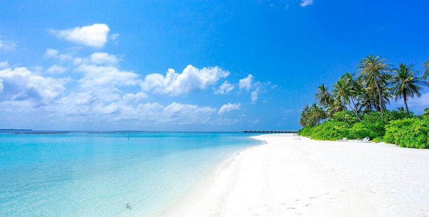 The pristine beaches in Georgia offer Black Sea views and serene landscapes.