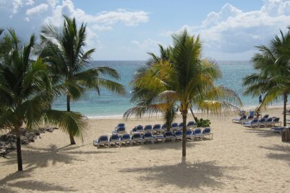 A picture of a scenic beach in Jamaica with beautiful pine trees on the shore