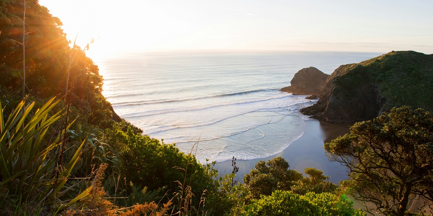 Stunning Beaches In New Zealand: Explore Paradise - Tripxl