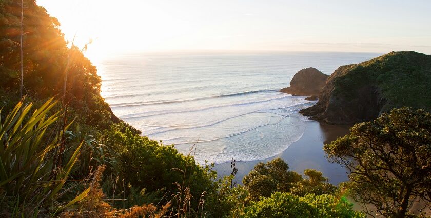 Image of beach view from top hill - Explore serene and calm beaches in New Zealand