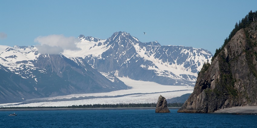 An image of Bear Glacier’s striking blue ice flows into the pristine waters of Resurrection Bay