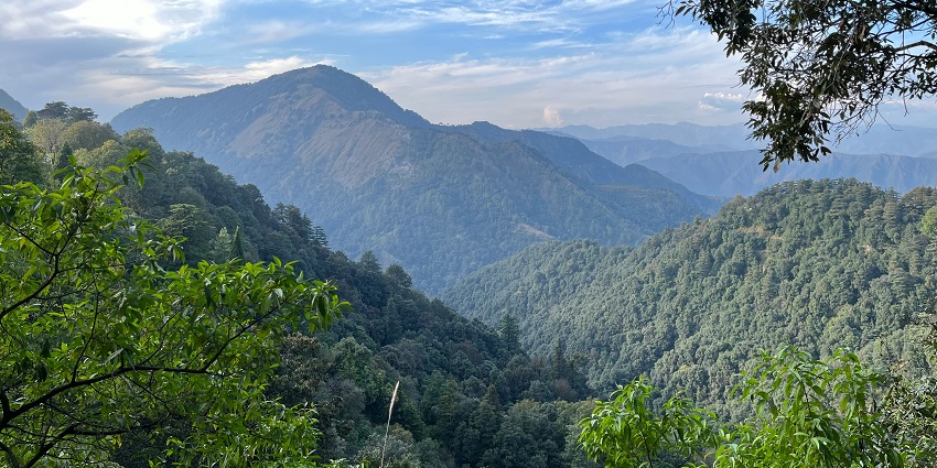 Benog Wildlife Sanctuary is one of the most lush green places around the temple.