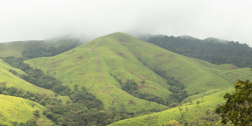 A picture of the scenic views during the best time for Kurangani Hills trekking.