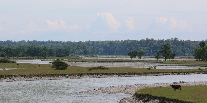 An image of the Murti River flowing through Gorumara Jungle Safari, North Bengal.
