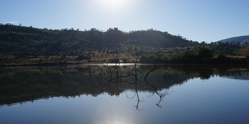 View of the beautiful dawn at Pilanesberg with a lake in it during sunny day time