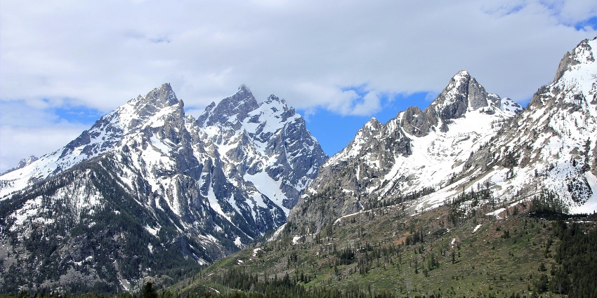 An image of the Teton Range with lush green meadows and a clear sky in the park.