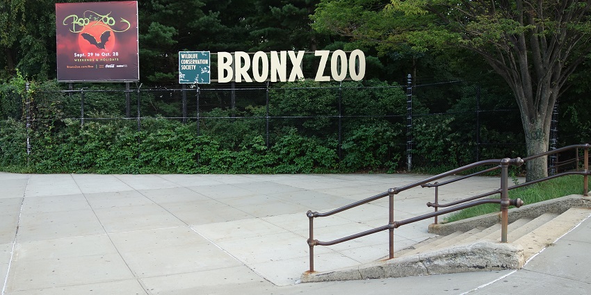 An image of an elephant statue at the zoo’s entrance, surrounded by lush greenery.