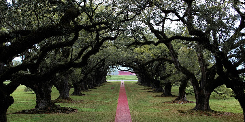 Best time to visit the temple in Louisiana is a hot and humid climate for much of the year.