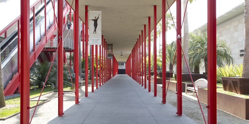 Visitors walking by palm trees and modern installations outside LACMA in Los Angeles