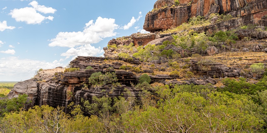 A Beautiful environment of the park with huge rocks covered in greenery
