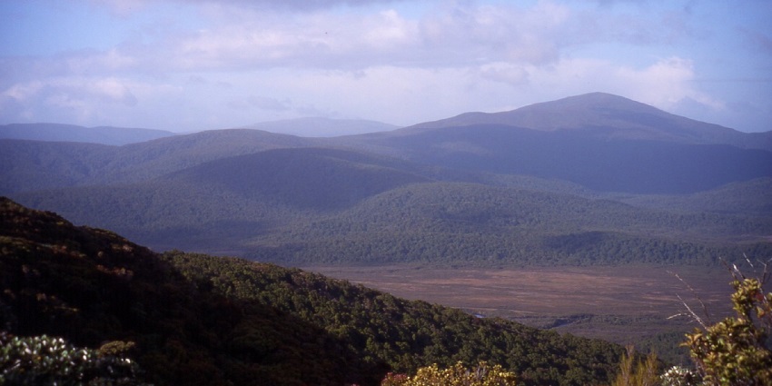 A Pleasant view of the mountains surrounded by lush greenery under clear blue sky