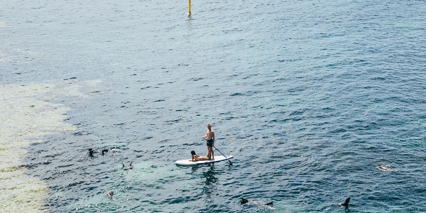 Visitors enjoy sunny weather on Rottnest Island during peak season.