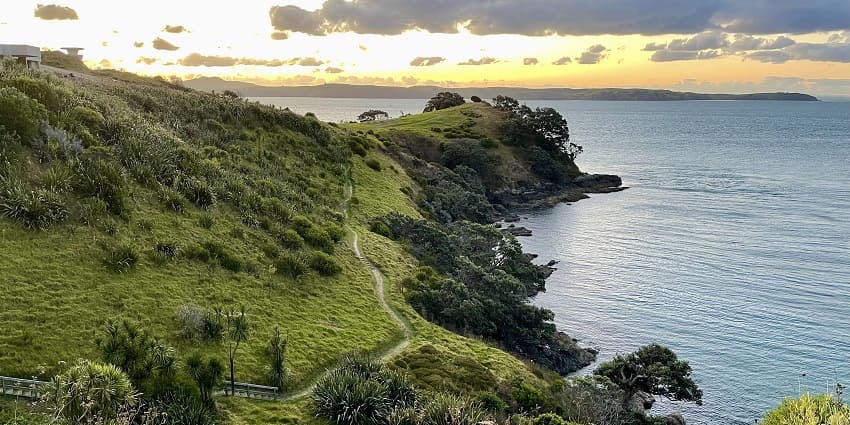 A surreal view of the natural surroundings on the island in New Zealand