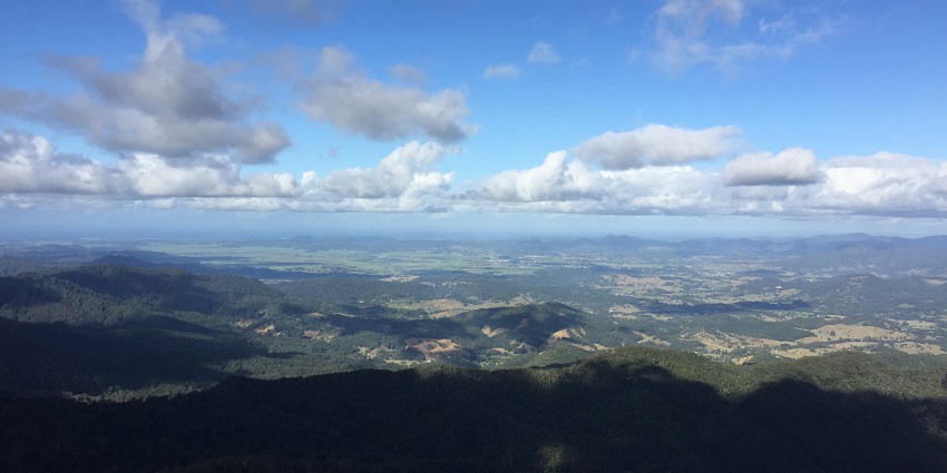 The mild weather and lush scenery at Springbrook National Park in Australia