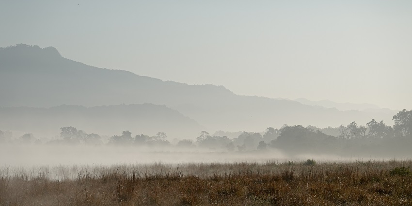 The best time for camping in Jim Corbett is from November to June