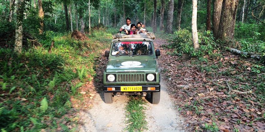 An image of tourists enjoying the Jungle safari at the park in pleasant weather.