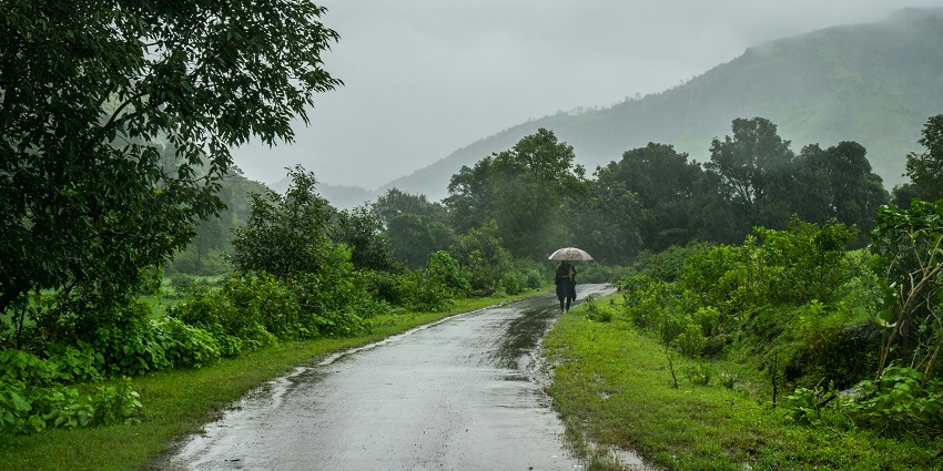 The best time for trekking is during monsoon season between June and September.