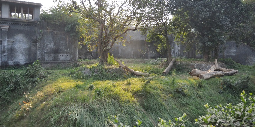A view of a garden inside the Alipore Zoo area, perfect to relax after visiting the Zoo.