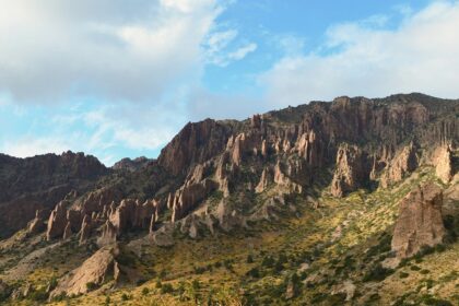 An image of the Big Bend National Park with mountains in the background