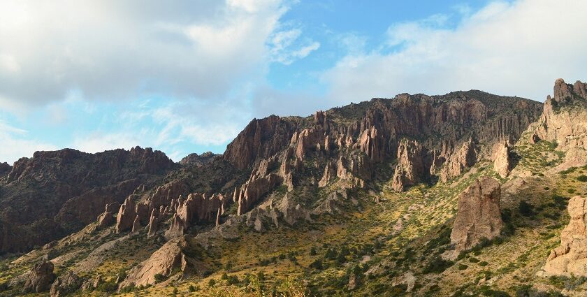 An image of the Big Bend National Park with mountains in the background