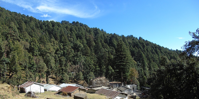 A picture of Binsar with lush forests, one of the best hill stations near Kanpur.