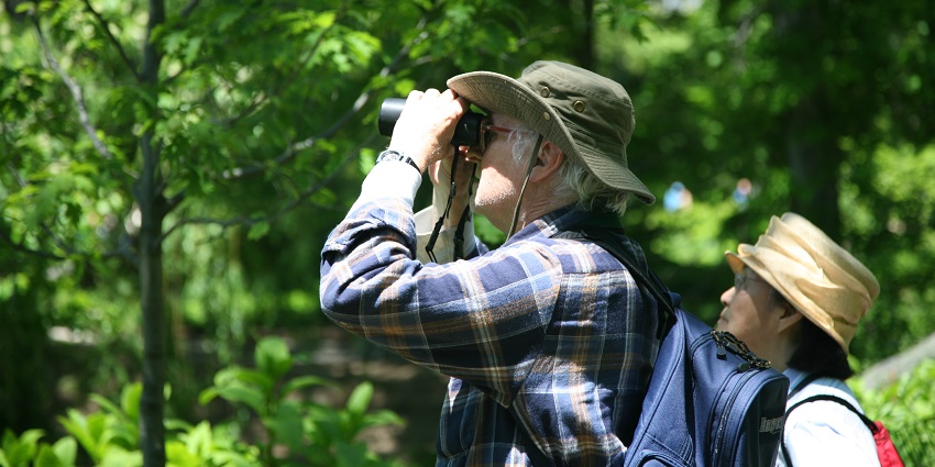 Birdwatchers in the Bandipur National Park looking at the natural beauty.