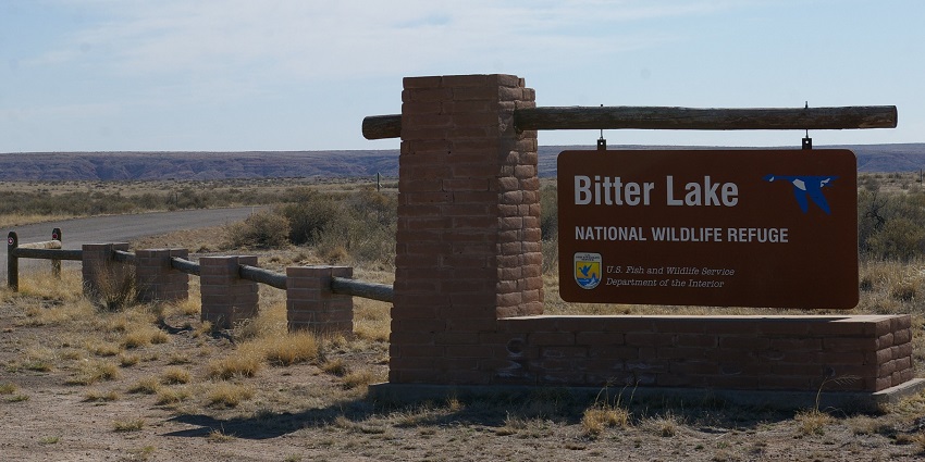 Bitter Lake Refuge, a famous place near Roswell Museum, with serene water and nature.