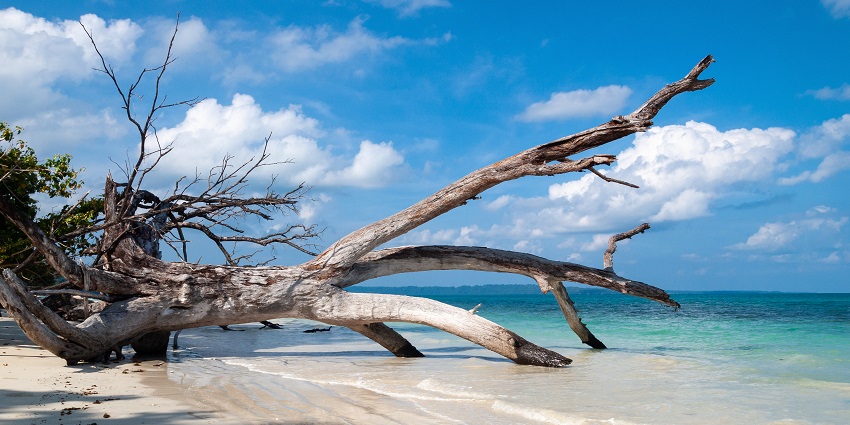 A sandy beach scene with seashells for sale, a gem among beautiful beaches in Fiji.