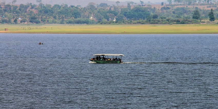 A picture of a guided boat safari in Haliday Island wildlife sanctuary activities.