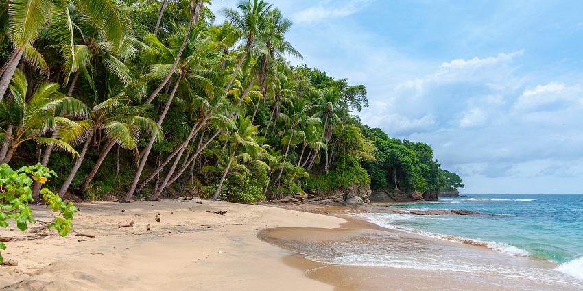 A wide beach adjacent to the city is filled with palm trees and huge crowds on a sunny day