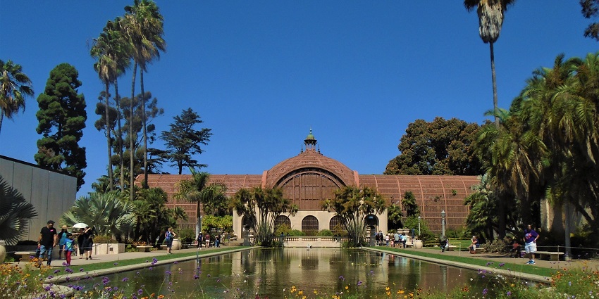 An image of the beautiful Lily Pond, amongst the best places near San Diego Zoo
