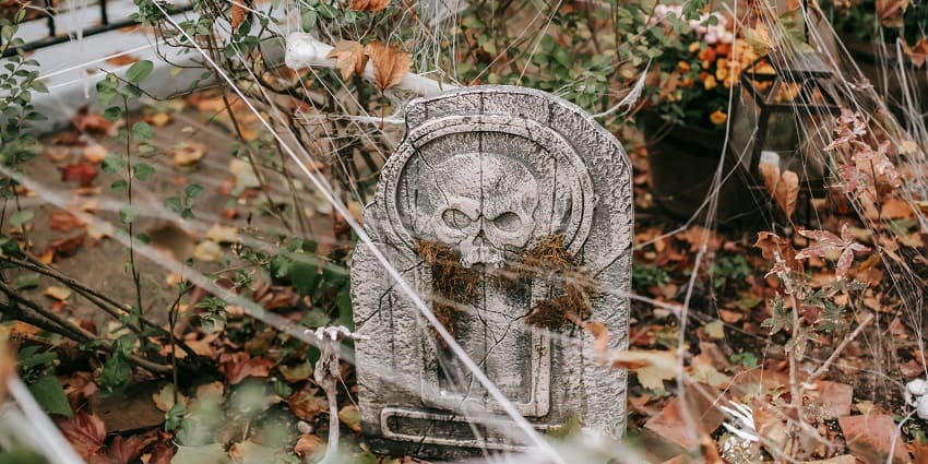 A picture of the botanical garden, one of the spookiest places to visit in Pondicherry.