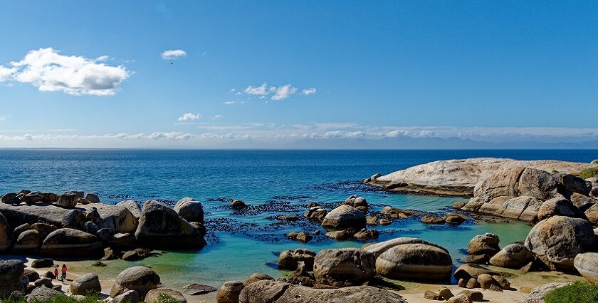 The heart-throbbing sight of the pristine Boulder Beach in South Africa