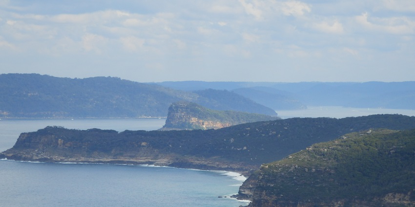 the coastline at this place is surrounded by forests near Brisbane Water National Park