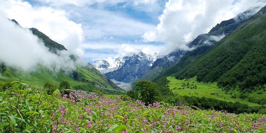 River rafting and camping in Rishikesh with panoramic views