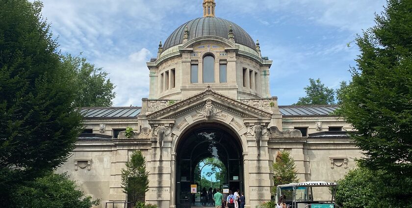 Bronx Zoo entrance on Fordham Road shows visitors walking near trees and park signage.