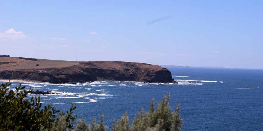 Explore vineyards at Bushrangers Bay Beach which is one of the best places to swim.